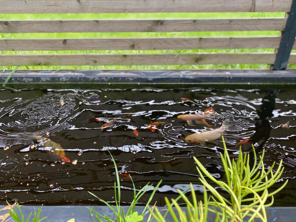Tropisches Loft Mit Privatem Garten Magdeburg Zewnętrze zdjęcie